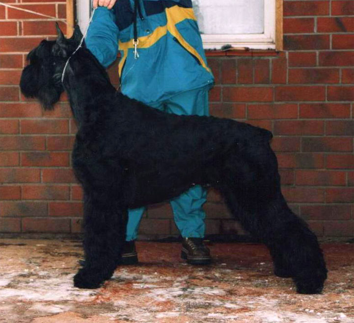 KOSMO z Tartaku