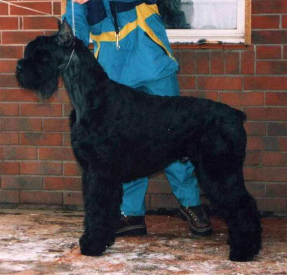 KOSMO z Tartaku