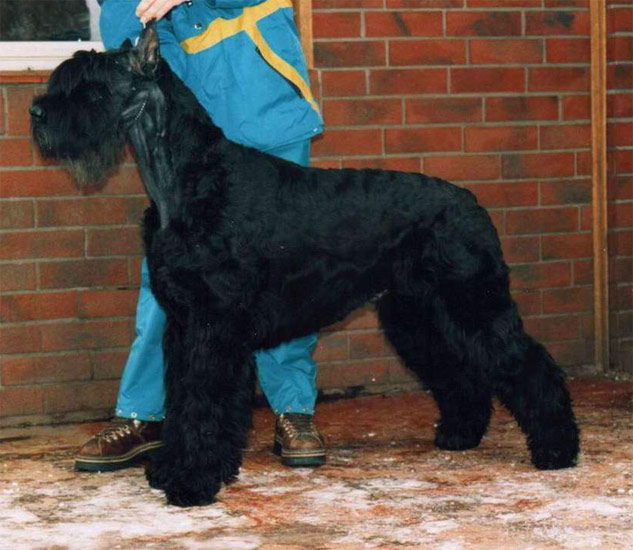KOSMO z Tartaku