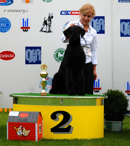 PAN SYRIUSZ BLACK z Tartaku
