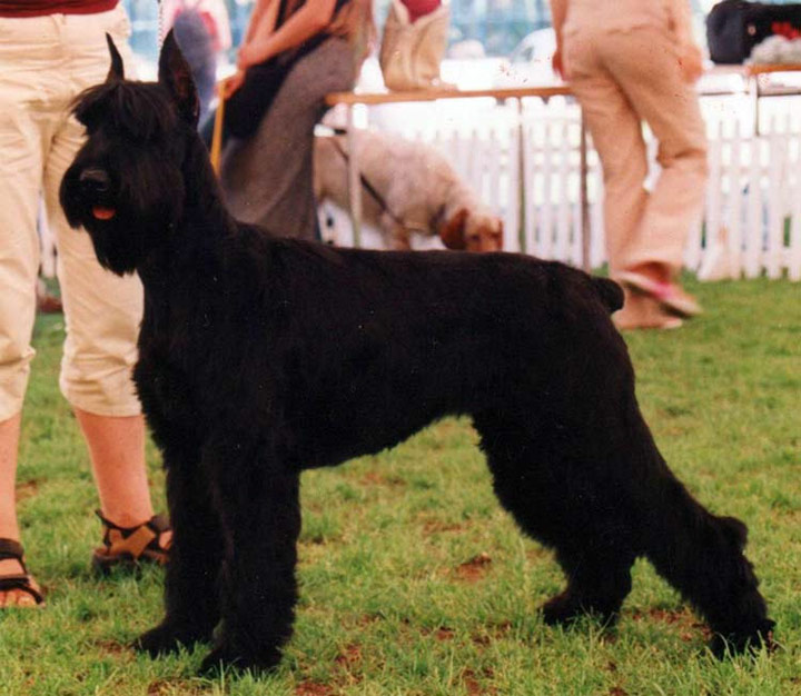 OXA z Tartaku